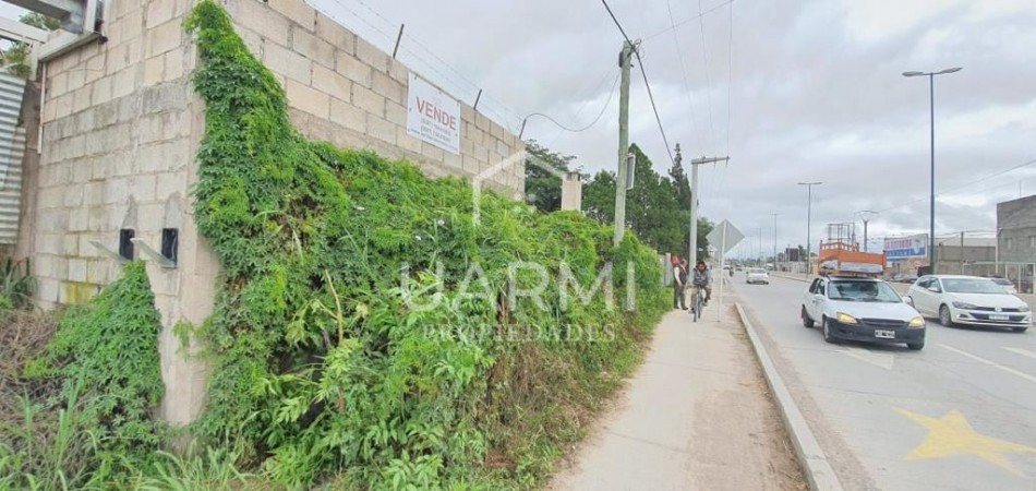 Gran predio en excelente zona comercial camino a La Isla